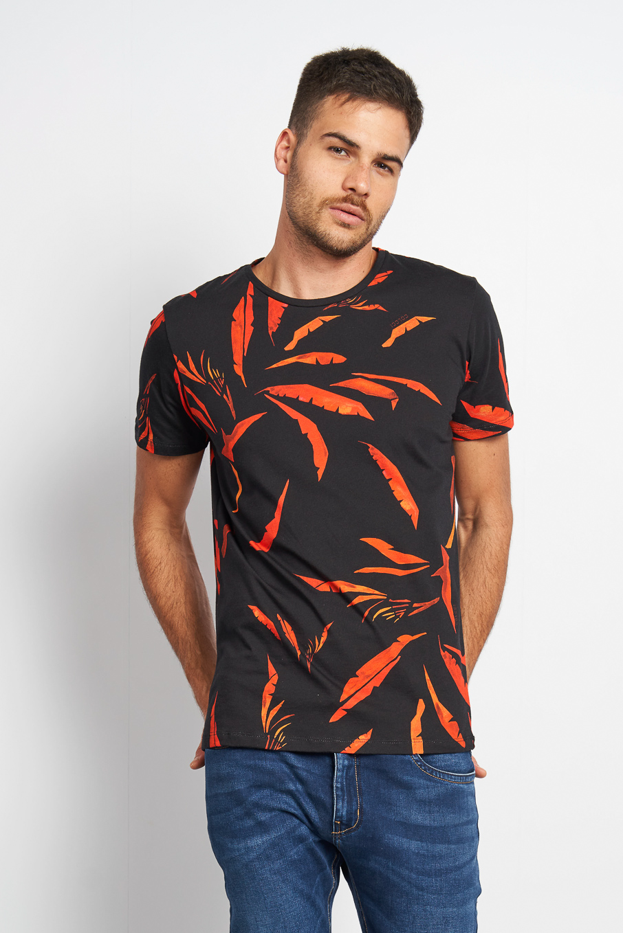 moda1